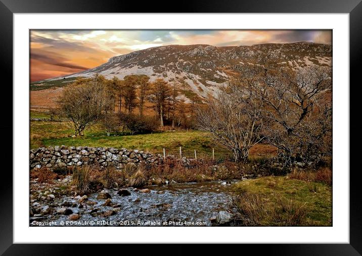 "Autumn at Ennerdale" Framed Mounted Print by ROS RIDLEY