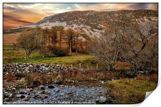 "Autumn at Ennerdale" Print by ROS RIDLEY