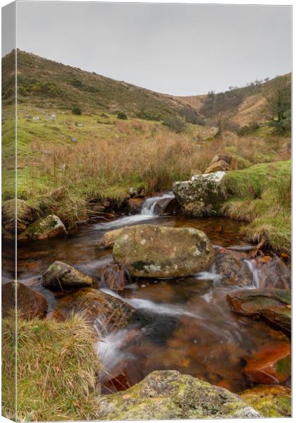 Dartmoor Stream Canvas Print by Images of Devon