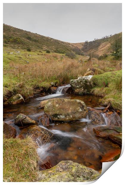 Dartmoor Stream Print by Images of Devon