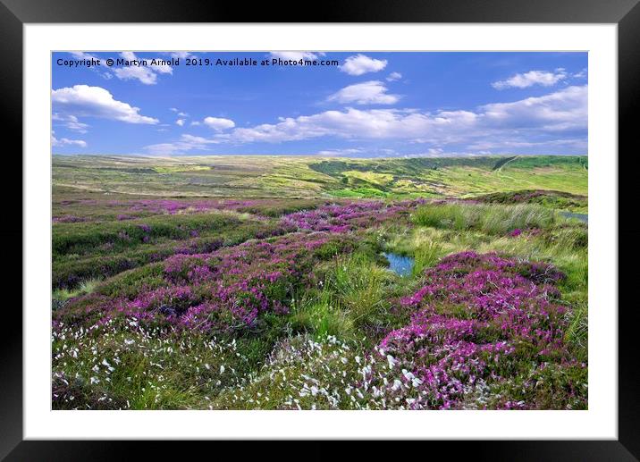 Yorkshire Moors Heather and Cottongrass landscape Framed Mounted Print by Martyn Arnold