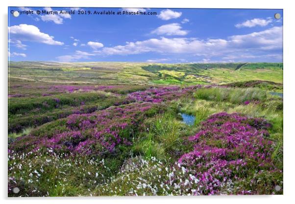 Yorkshire Moors Heather and Cottongrass landscape Acrylic by Martyn Arnold