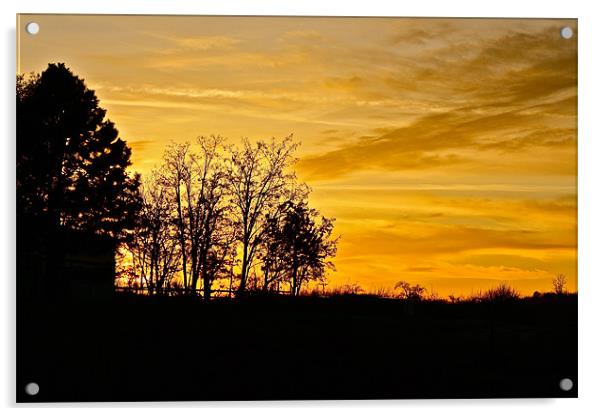 Golden Sunset Acrylic by Irina Walker