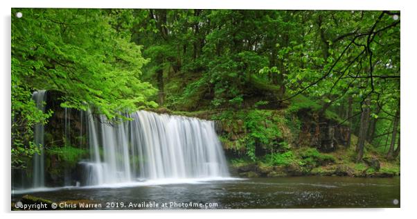Scwd Ddwli waterfalls in the Neath Valley Wales Acrylic by Chris Warren