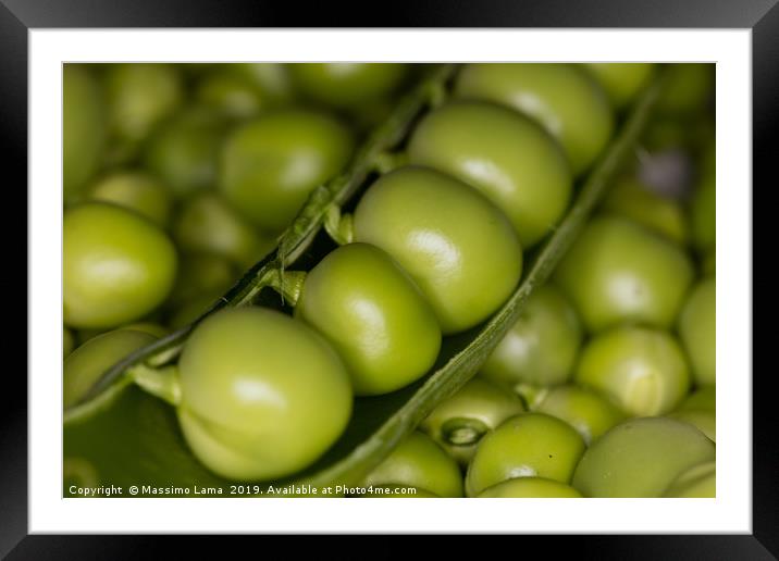 Fresh green peas  Framed Mounted Print by Massimo Lama