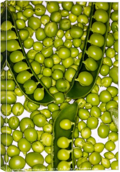 Fresh green peas  Canvas Print by Massimo Lama