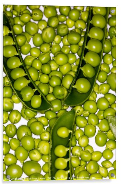 Fresh green peas  Acrylic by Massimo Lama