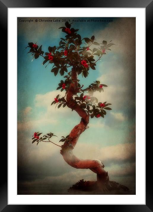 Natures Magic 2 Framed Mounted Print by Christine Lake