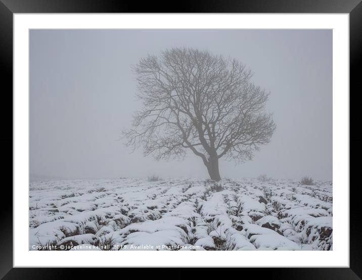 Malham Lone Tree . North Yorkshire  Framed Mounted Print by jacqueline kelsall