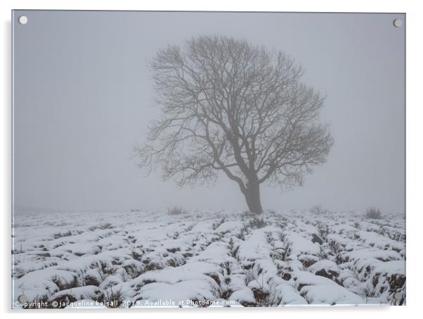 Malham Lone Tree . North Yorkshire  Acrylic by jacqueline kelsall