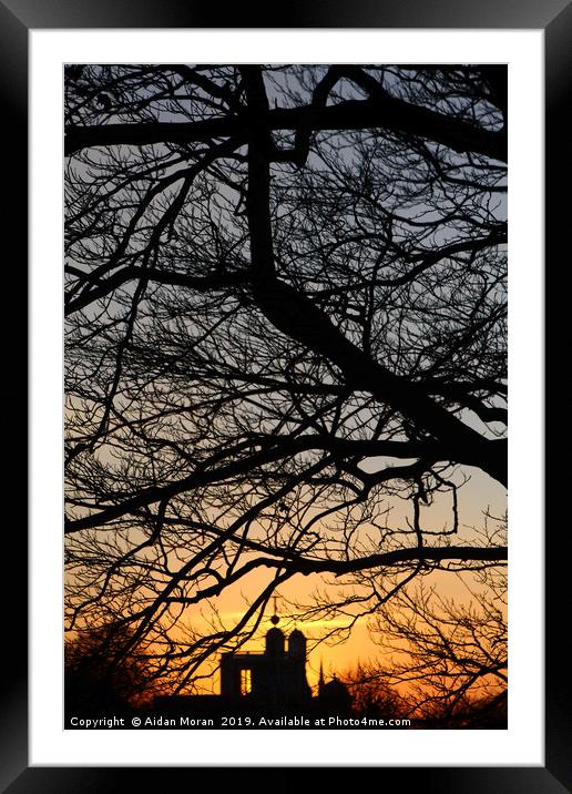 Sunset At Greenwich Park    Framed Mounted Print by Aidan Moran