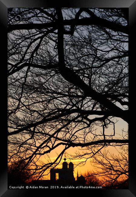 Sunset At Greenwich Park    Framed Print by Aidan Moran