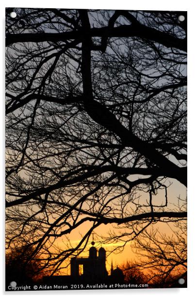 Sunset At Greenwich Park    Acrylic by Aidan Moran
