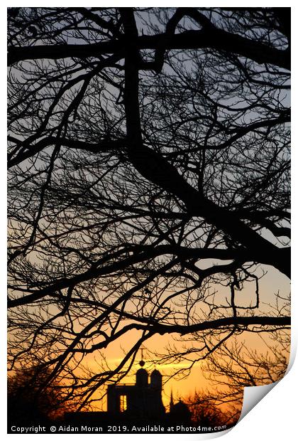Sunset At Greenwich Park    Print by Aidan Moran