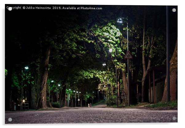 Street Through The Park Acrylic by Jukka Heinovirta