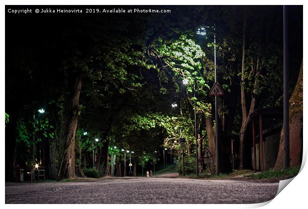 Street Through The Park Print by Jukka Heinovirta