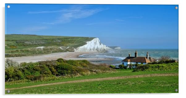 The Seven Sisters and Cuckmere Haven Beach Acrylic by Diana Mower