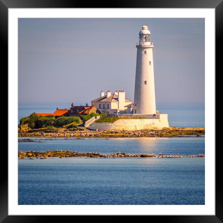 Stunning St Mary's Lighthouse Framed Mounted Print by Naylor's Photography