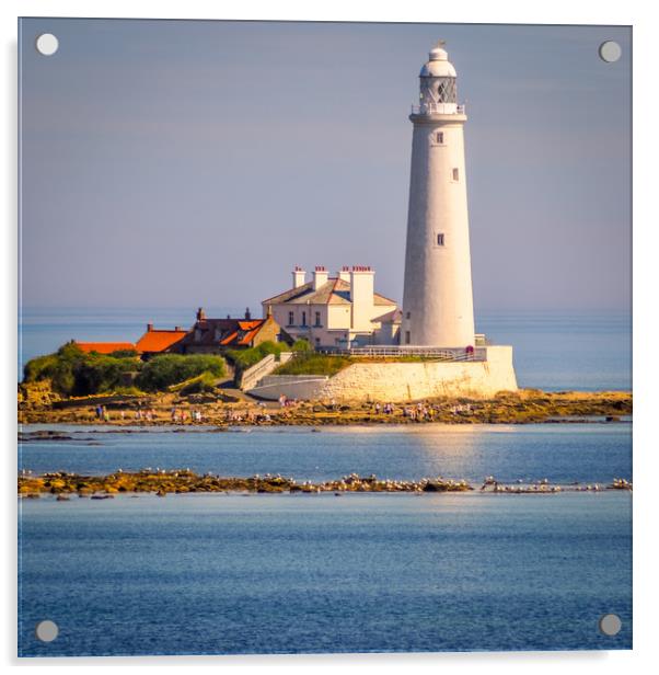 Stunning St Mary's Lighthouse Acrylic by Naylor's Photography