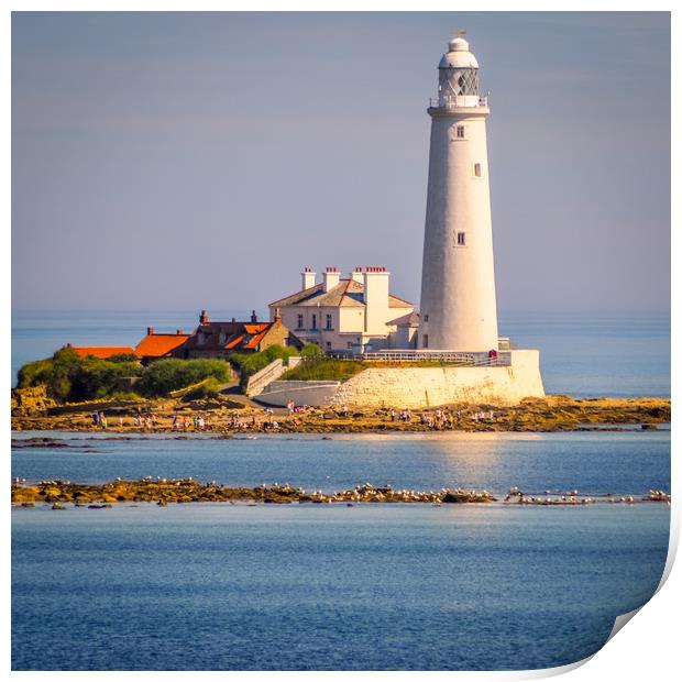 Stunning St Mary's Lighthouse Print by Naylor's Photography