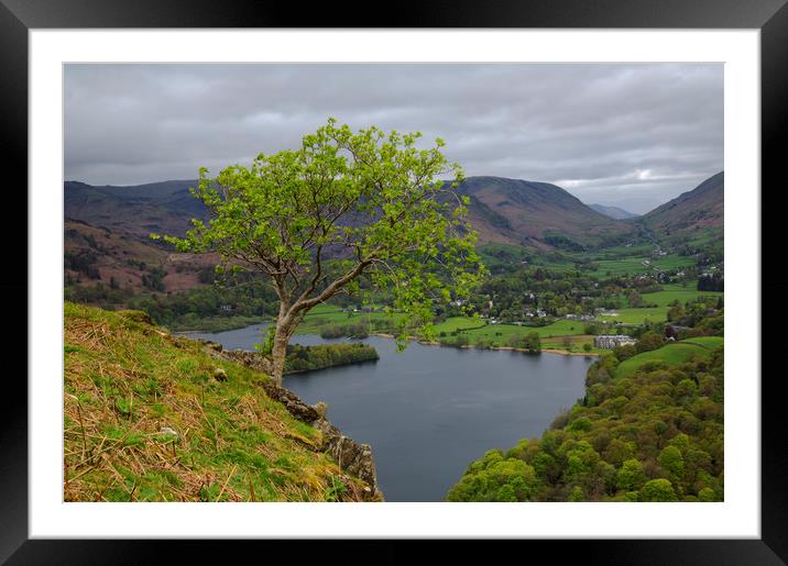 Grasmere View Framed Mounted Print by CHRIS BARNARD