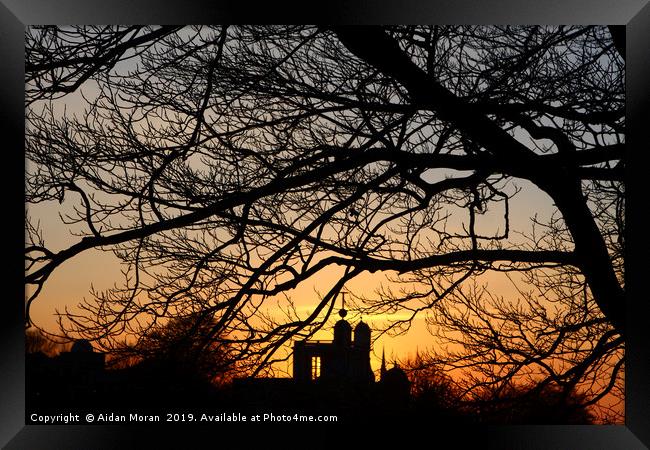 Mean Time Sunset at Greenwich Park   Framed Print by Aidan Moran