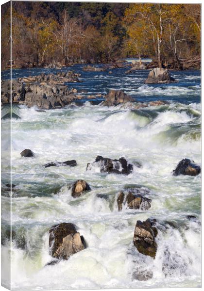 The Great Falls Virginia Canvas Print by CHRIS BARNARD