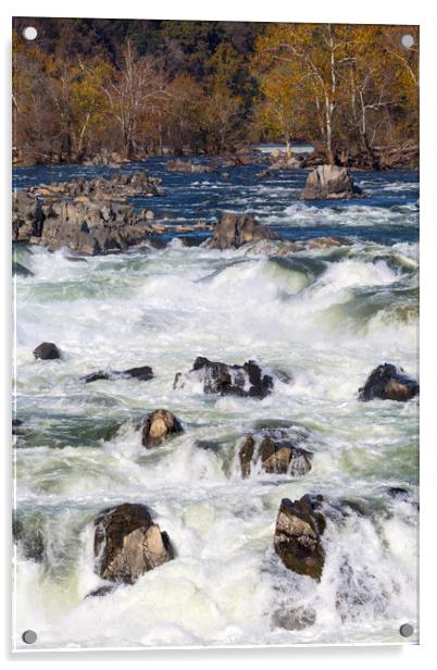 The Great Falls Virginia Acrylic by CHRIS BARNARD