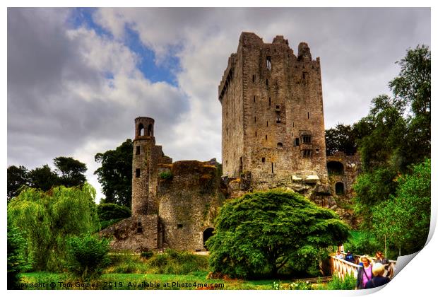 The way to Blarney Castle Print by Tom Gomez