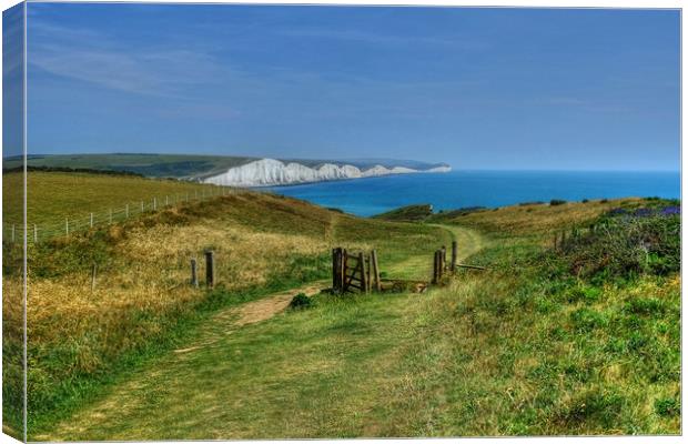Seven Sisters Sussex Canvas Print by Diana Mower
