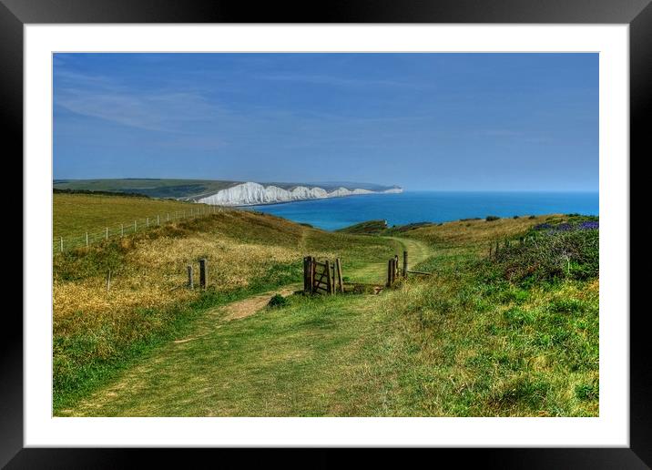 Seven Sisters Sussex Framed Mounted Print by Diana Mower