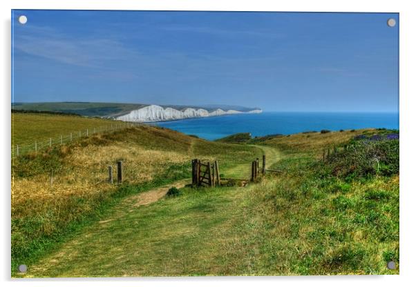 Seven Sisters Sussex Acrylic by Diana Mower