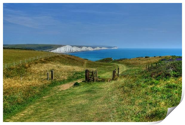 Seven Sisters Sussex Print by Diana Mower