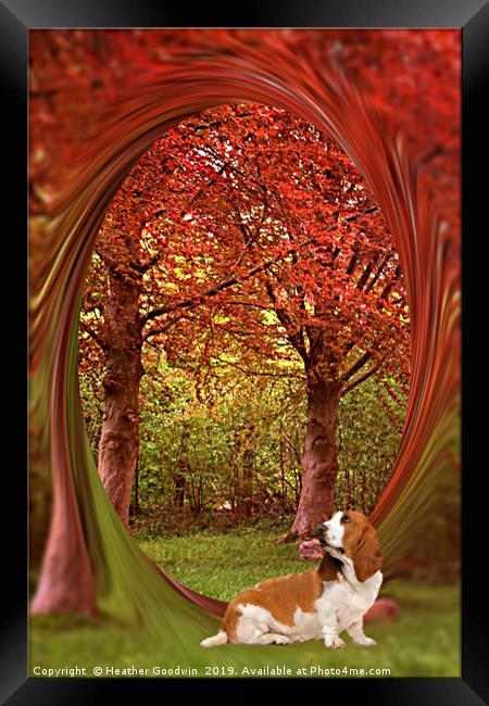 Colour me Autumn Framed Print by Heather Goodwin