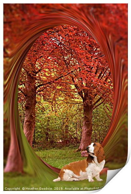 Colour me Autumn Print by Heather Goodwin