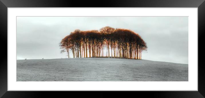 Majestic Coming Home Trees Framed Mounted Print by Beryl Curran