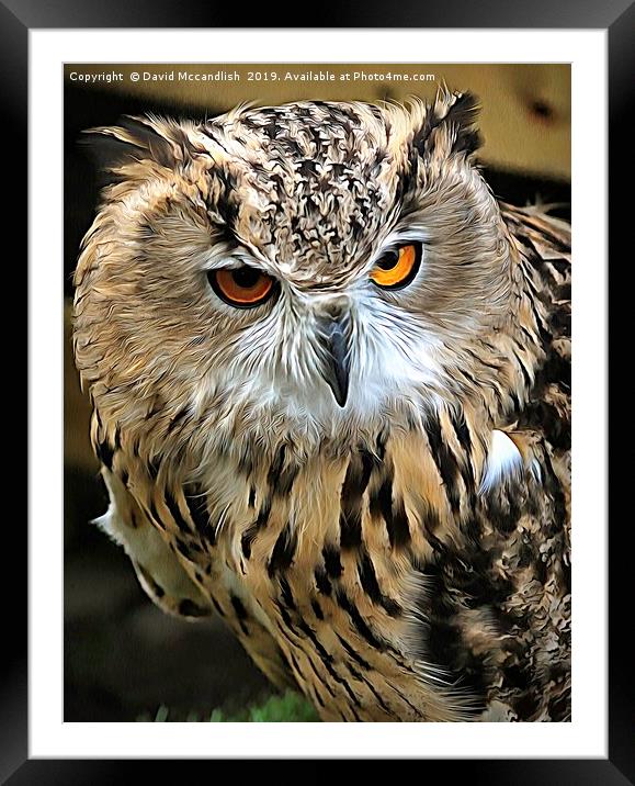 Eagle Owl European Framed Mounted Print by David Mccandlish