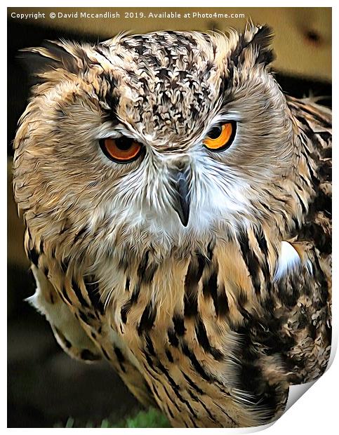 Eagle Owl European Print by David Mccandlish