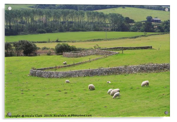 Sheep Farming Acrylic by Nicola Clark