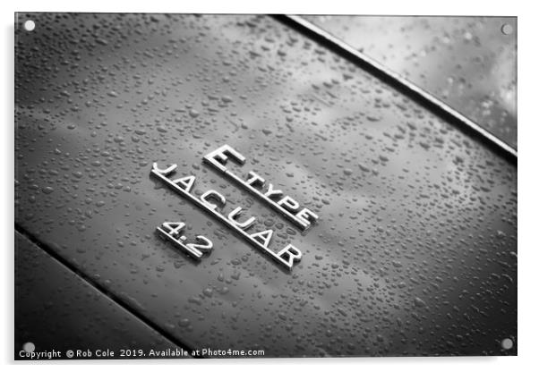 Classic Vintage E-Type Jaguar Sports Car Acrylic by Rob Cole
