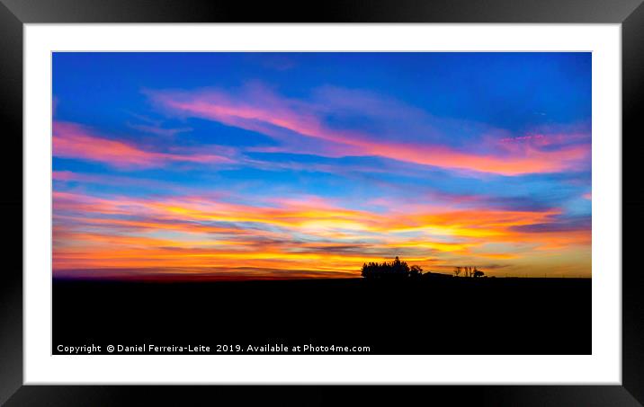 Uruguay Field Sunset Scene Landscape  Framed Mounted Print by Daniel Ferreira-Leite