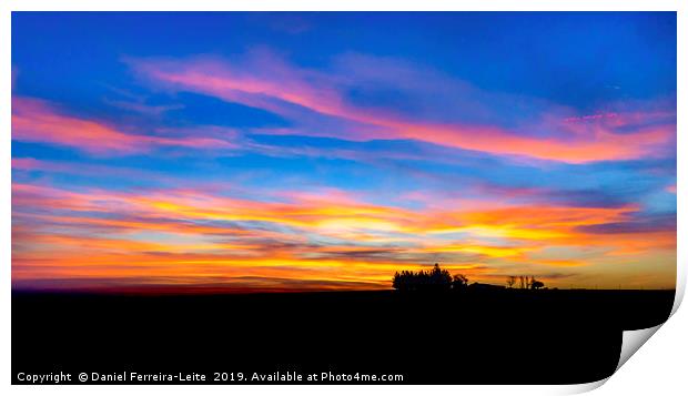 Uruguay Field Sunset Scene Landscape  Print by Daniel Ferreira-Leite