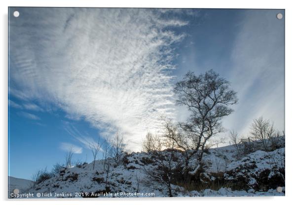 Winter Tree Brecon Beacons Acrylic by Nick Jenkins