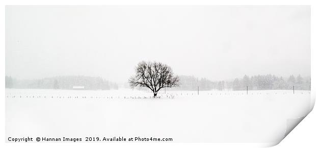 Scene from a train I Print by Hannan Images