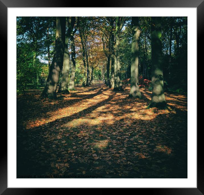 Autumn walk Framed Mounted Print by mark dodd