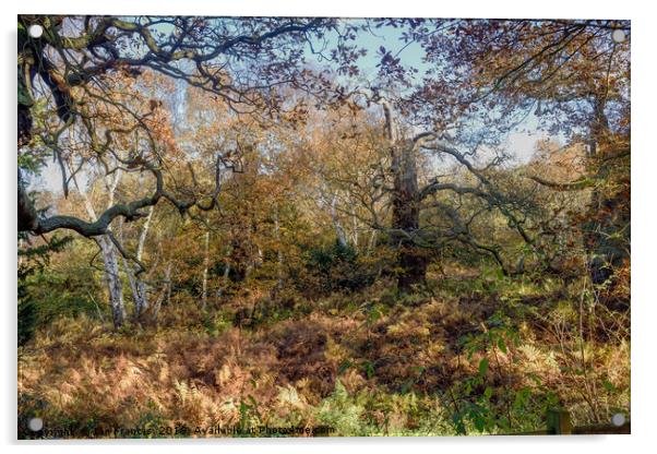 English Oak woodland in Autumn. Acrylic by Ian Francis