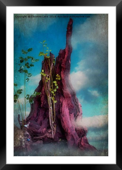 Surreal In Nature Framed Mounted Print by Christine Lake