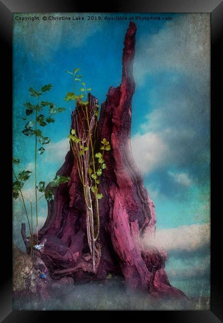 Surreal In Nature Framed Print by Christine Lake