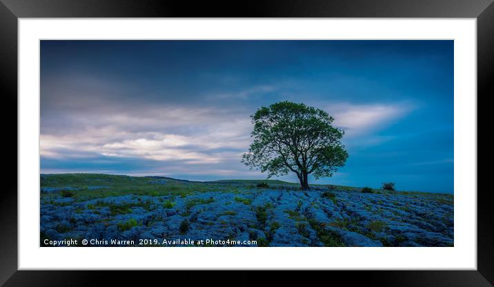 Lone tree on Gordale Scar Malham North Yorkshire Framed Mounted Print by Chris Warren