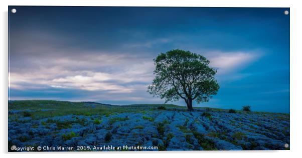 Lone tree on Gordale Scar Malham North Yorkshire Acrylic by Chris Warren